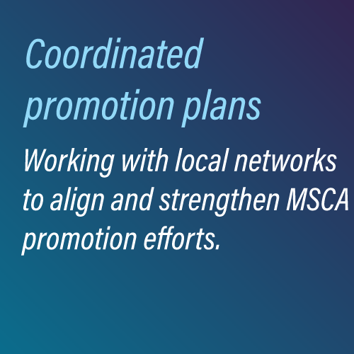 Coordinated promotion plans